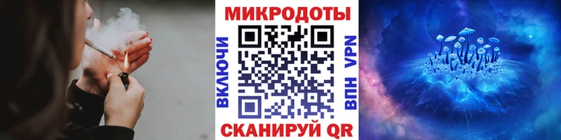 Псилоцибиновые грибы прущие грибы  Трубчевск 